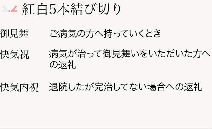 紅白5本結び切り